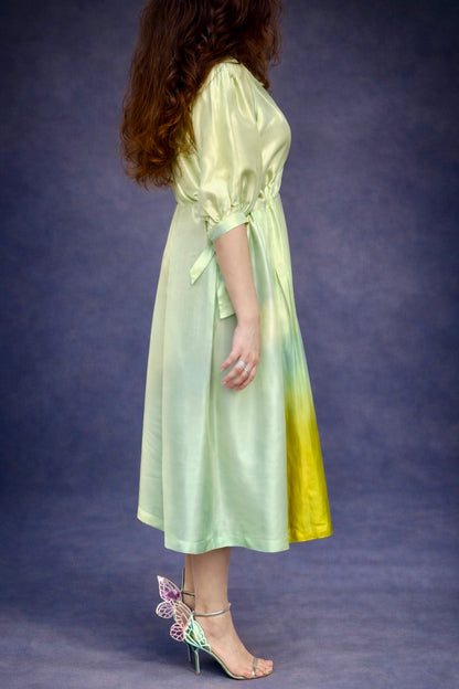 Aurelia~ image 2
